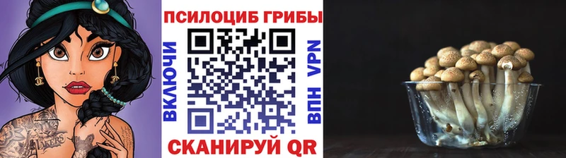 Галлюциногенные грибы GOLDEN TEACHER Нижняя Салда