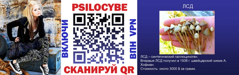 Галлюциногенные грибы Cubensis  Нижняя Салда 